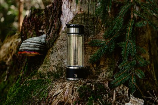 A black and white photo of a black and white lantern sitting on a tree stump