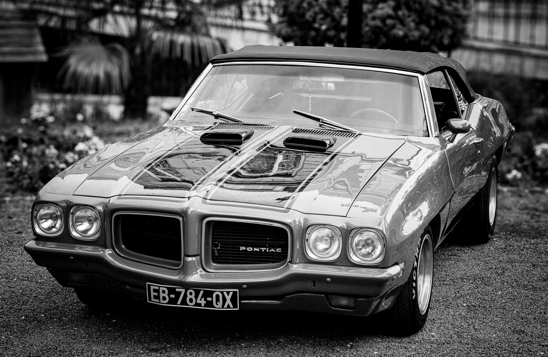 Stunning black and white photo of a vintage Pontiac GTO showcasing classic automotive design.