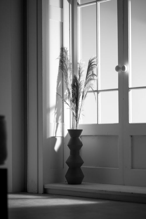 Free Monochrome image of a decorative vase with fluffy feathers next to a windowed door. Stock Photo