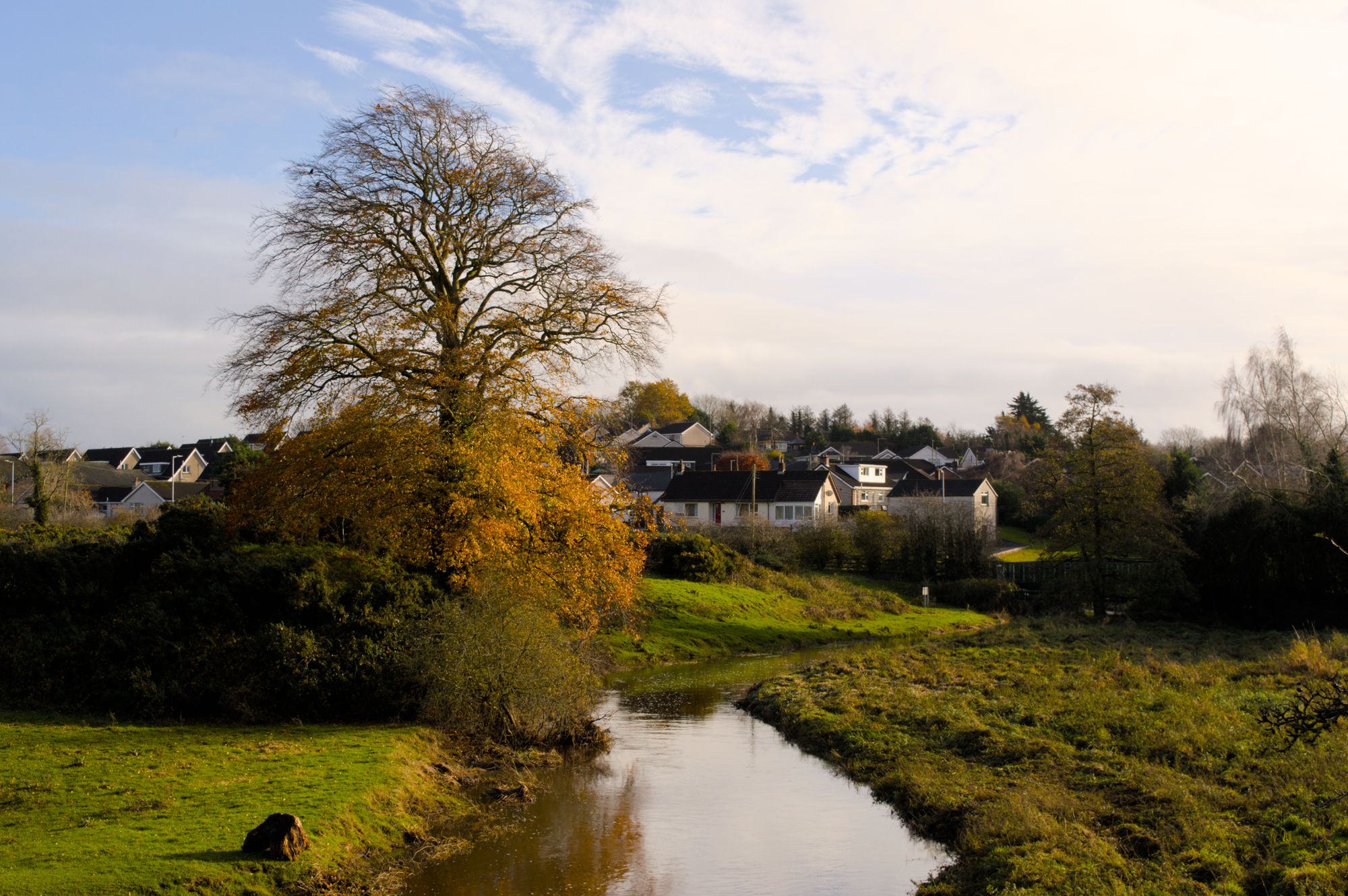 Lisburn
