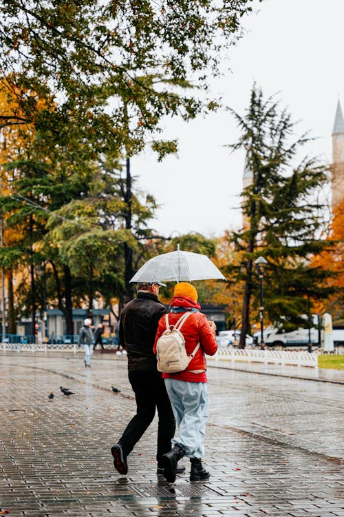 Základová fotografie zdarma na téma chůze, déšť, deštník