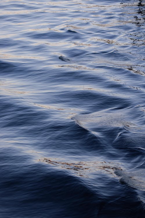 Sea Surface Texture