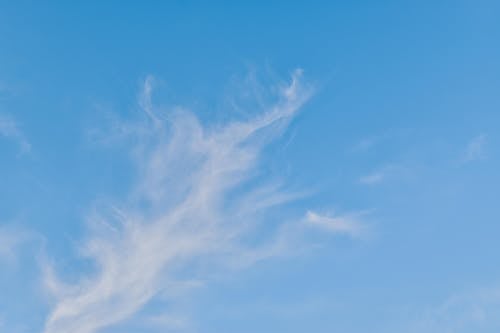 Feathery Cloud in the Bright Blue Sky