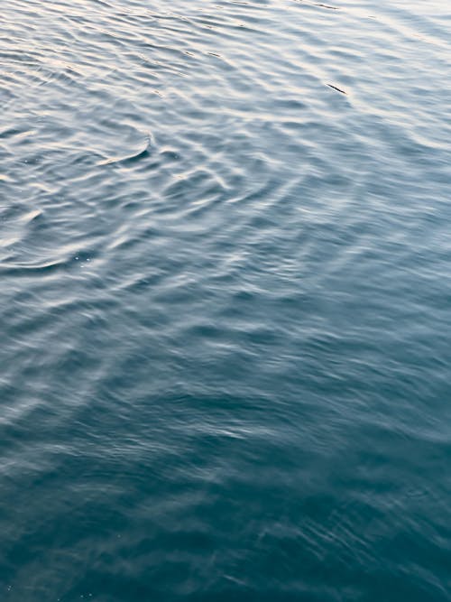 Rippled Sea Water Surface