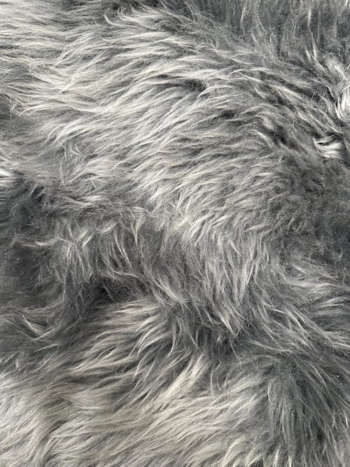 Close up of Animal Fur