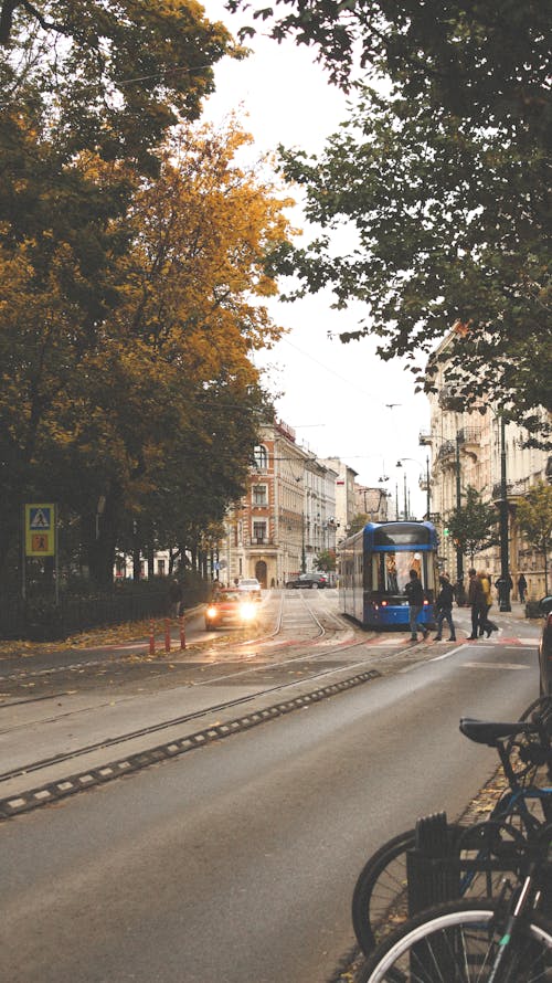 People Crossing Street in Autumn