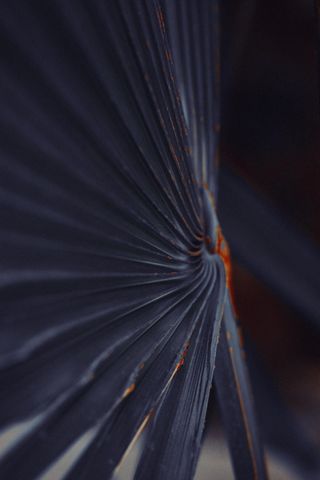 Cover art — photo by Diana on Pexels
