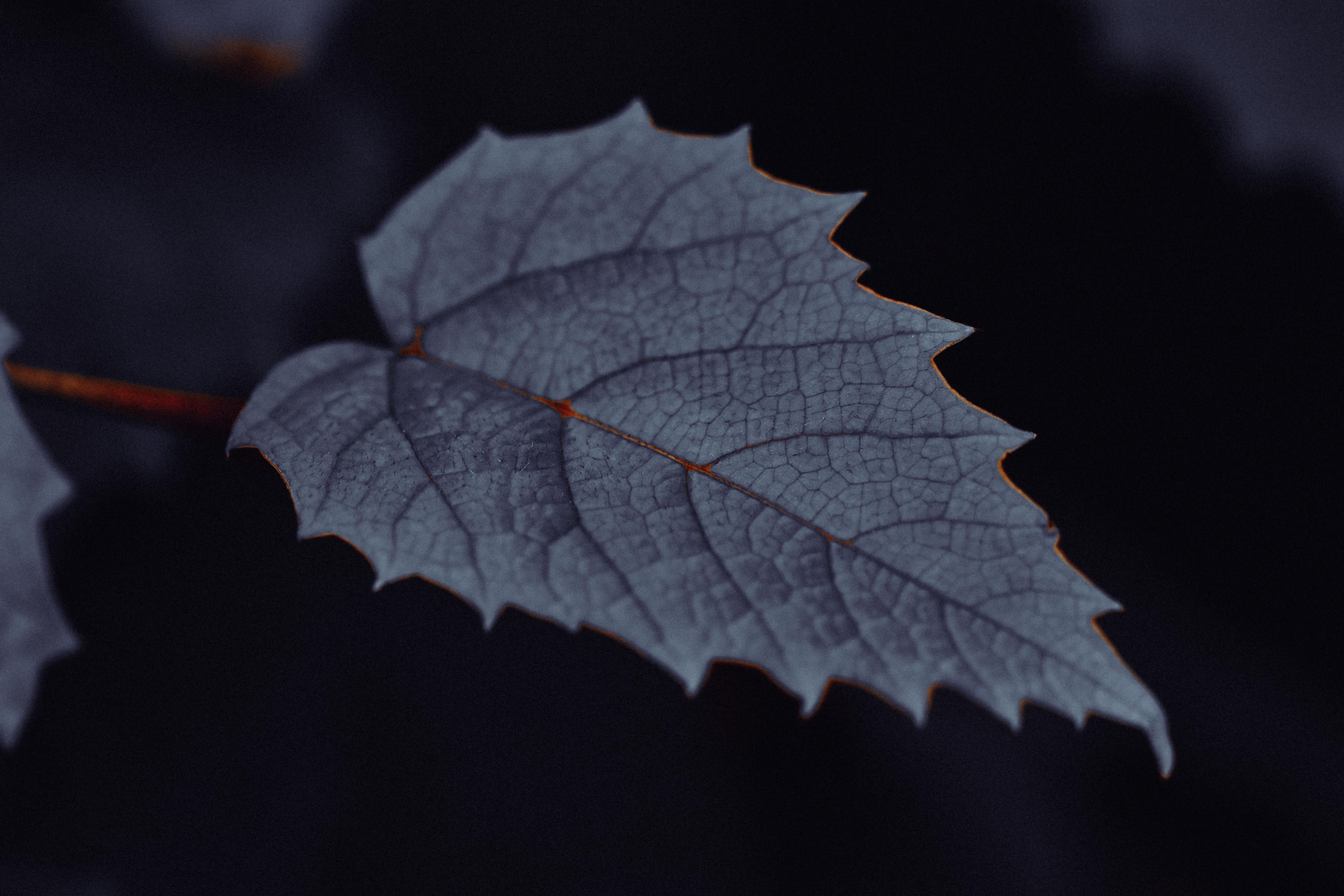 Photo by Diana ✨ on pexels