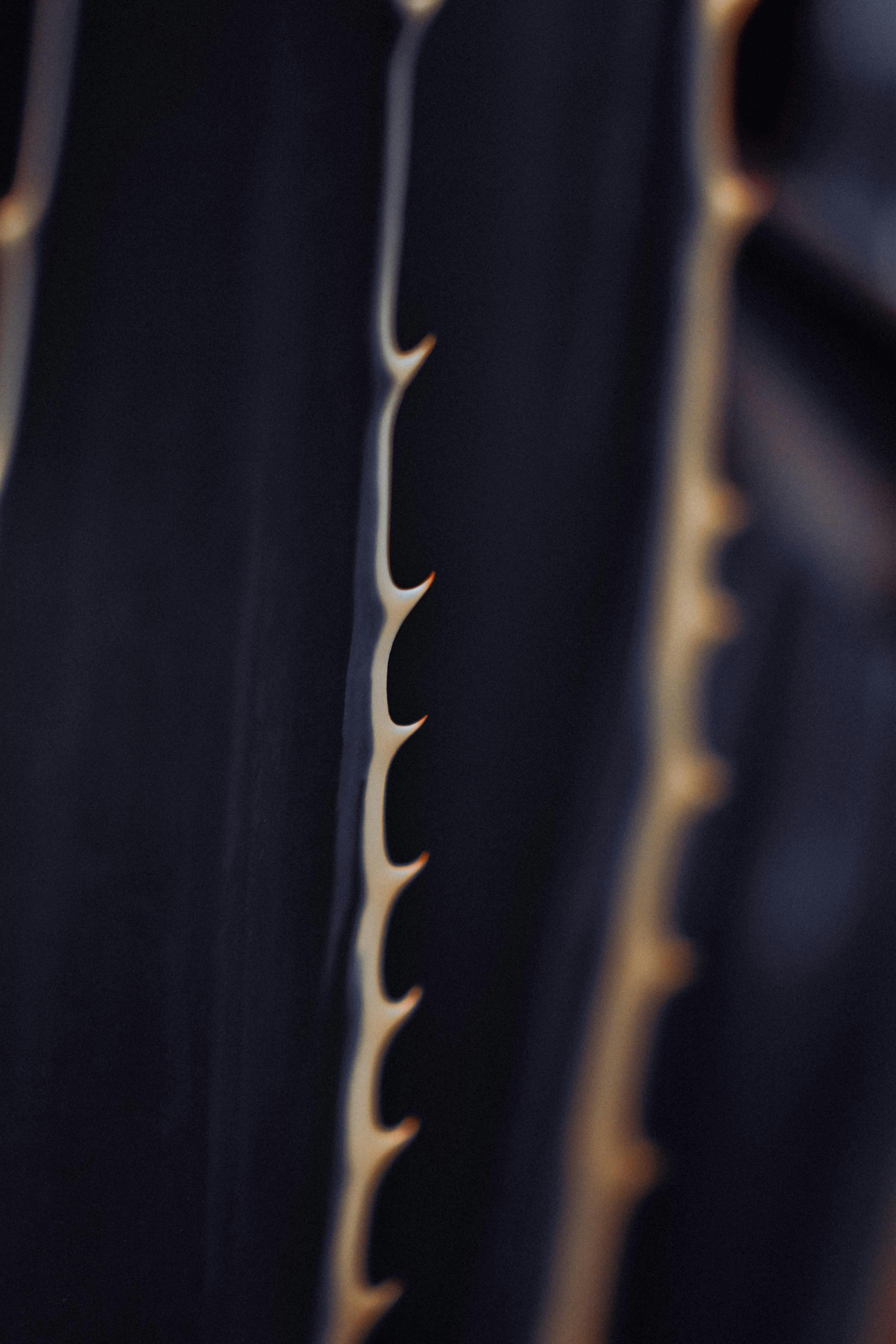 Detailed macro shot of agave plant showing sharp thorns on leaves.