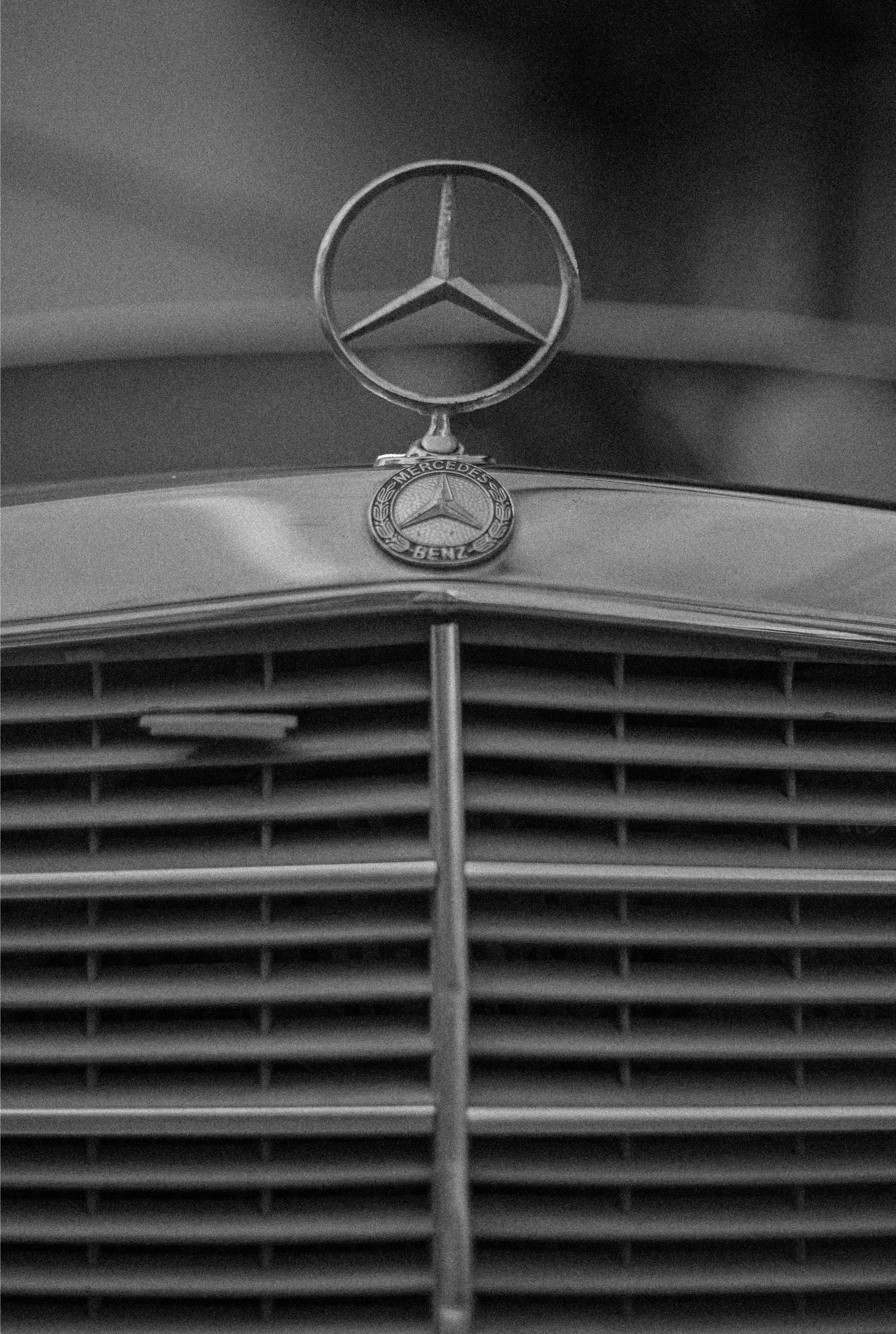 10 Top Mercedes Benz Logo Wallpapers FULL HD 1080p For PC Background | Mercedes  logo, Mercedes benz logo, Mercedes benz wallpaper