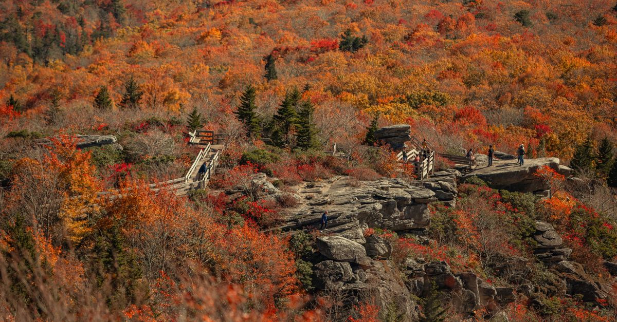 Explore the vivid fall foliage and rugged landscapes at Rough Ridge, NC, with scenic views.