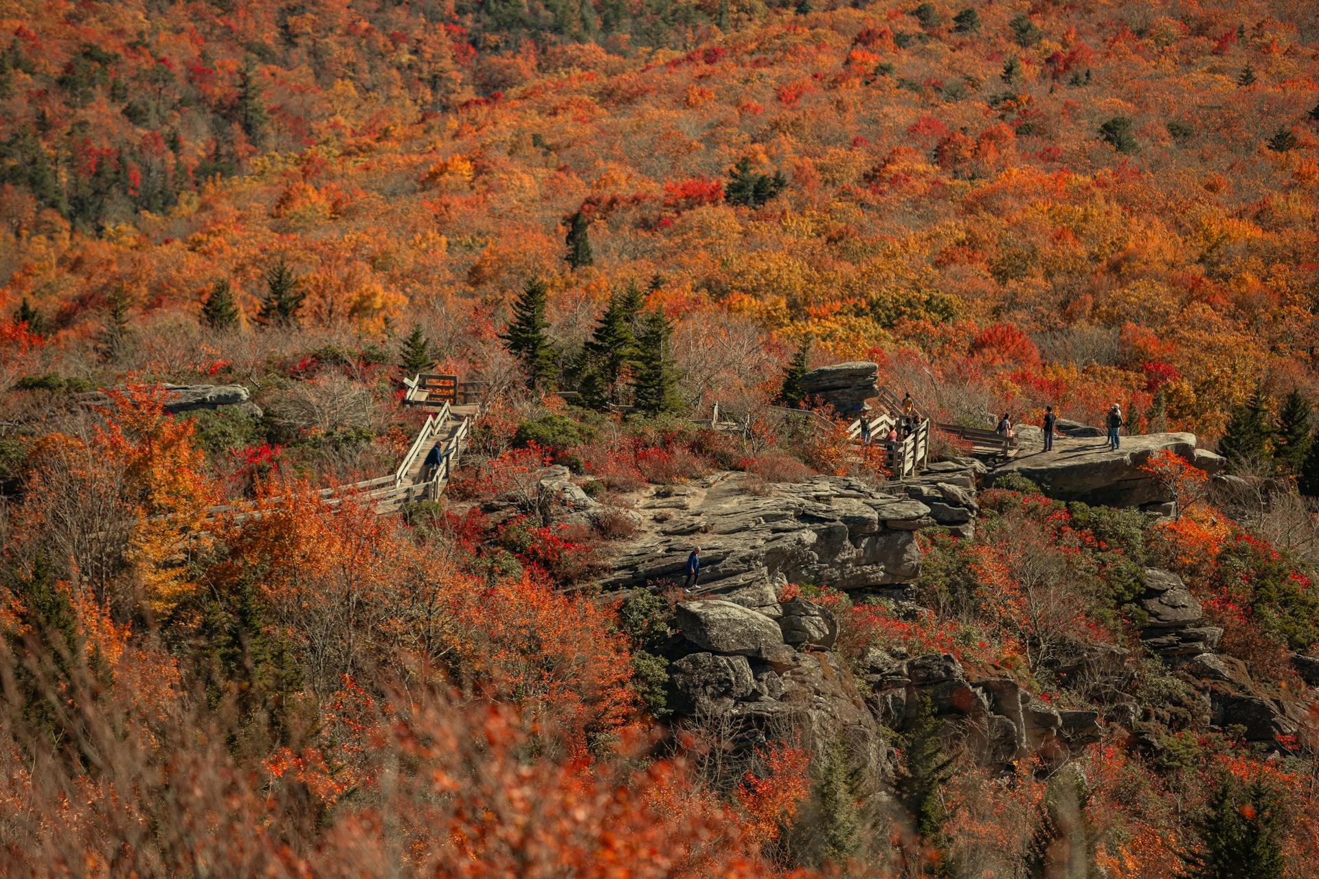 Panorama of Rough Ridge Lookout in Autumn Forest, North Carolina, USA