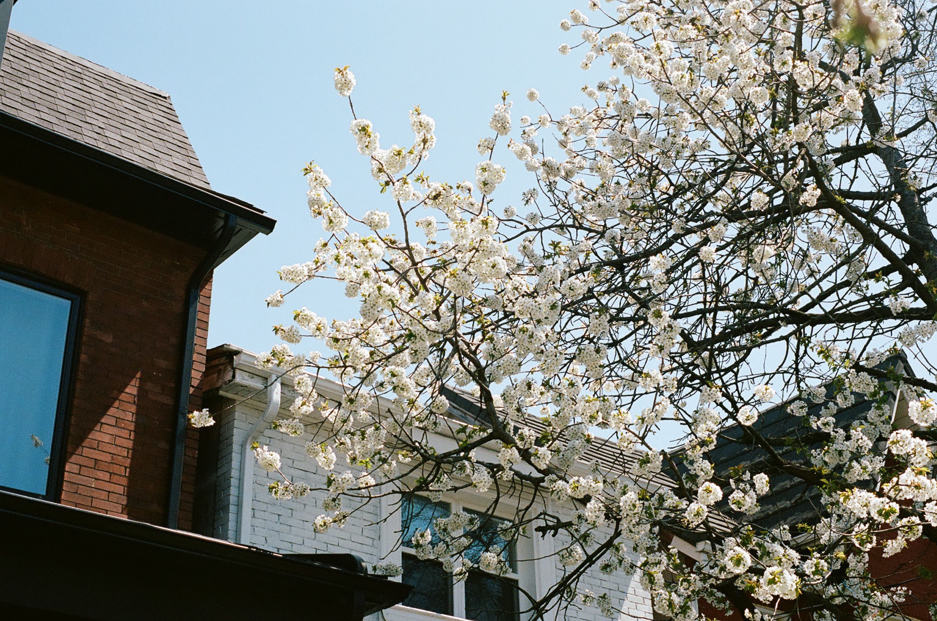 Give your home a spring reset for less than $100 with these DIY home improvement projects — Photo by Paige Thompson on Pexels