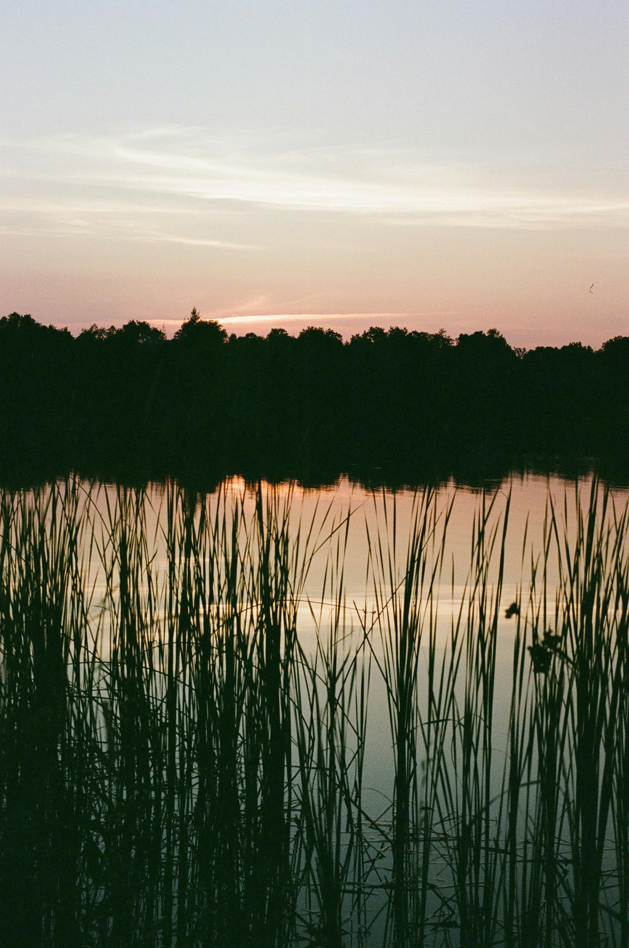 Peaceful sunset with silhouettes of trees reflected on a calm forest lake.