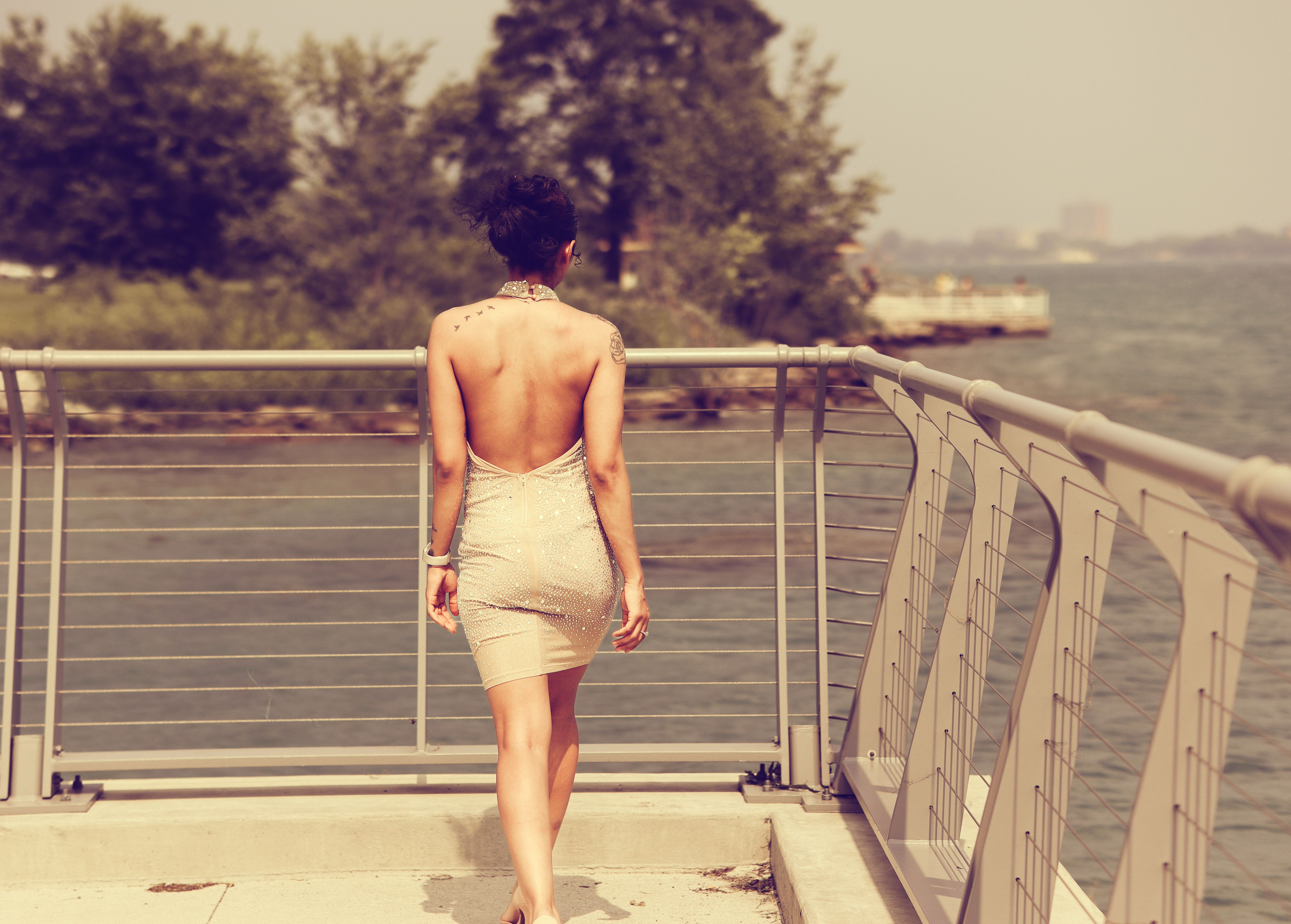 Back View of a Woman Wearing an Elegant Backless Dress  Free Stock Photo