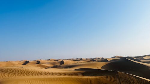 Foto d'estoc gratuïta de cel blau, desert, duna