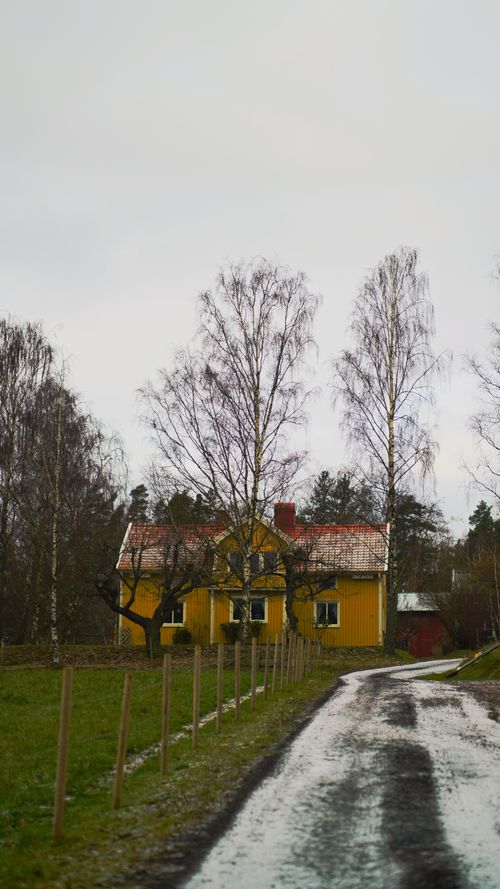 Free Snowy road leading to a yellow house surrounded by bare trees in winter countryside. Stock Photo