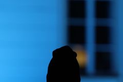 Silhouette of a person in front of a glowing blue-lit window during twilight in Jönköping, Sweden.