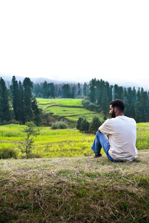 Free A man sits on a grassy hill overlooking a lush green valley with coniferous trees. Stock Photo