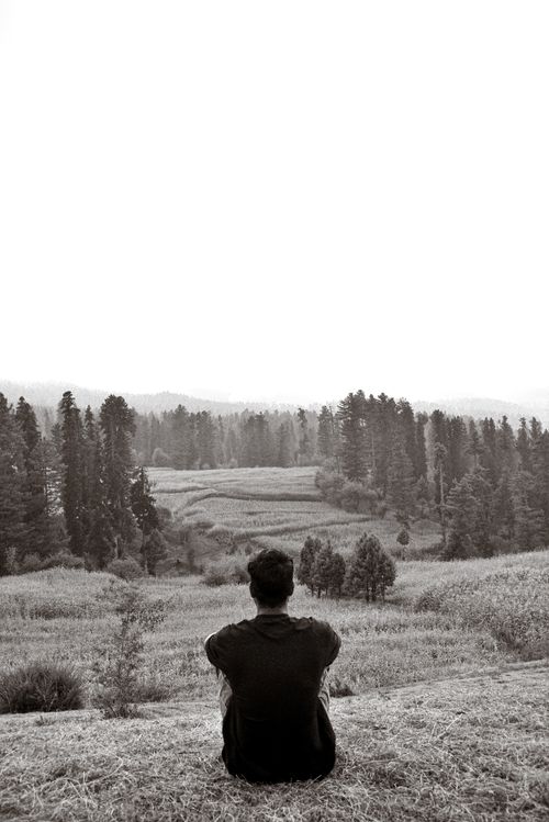 Free Man sitting alone in a grassy valley surrounded by coniferous trees, contemplating nature. Stock Photo