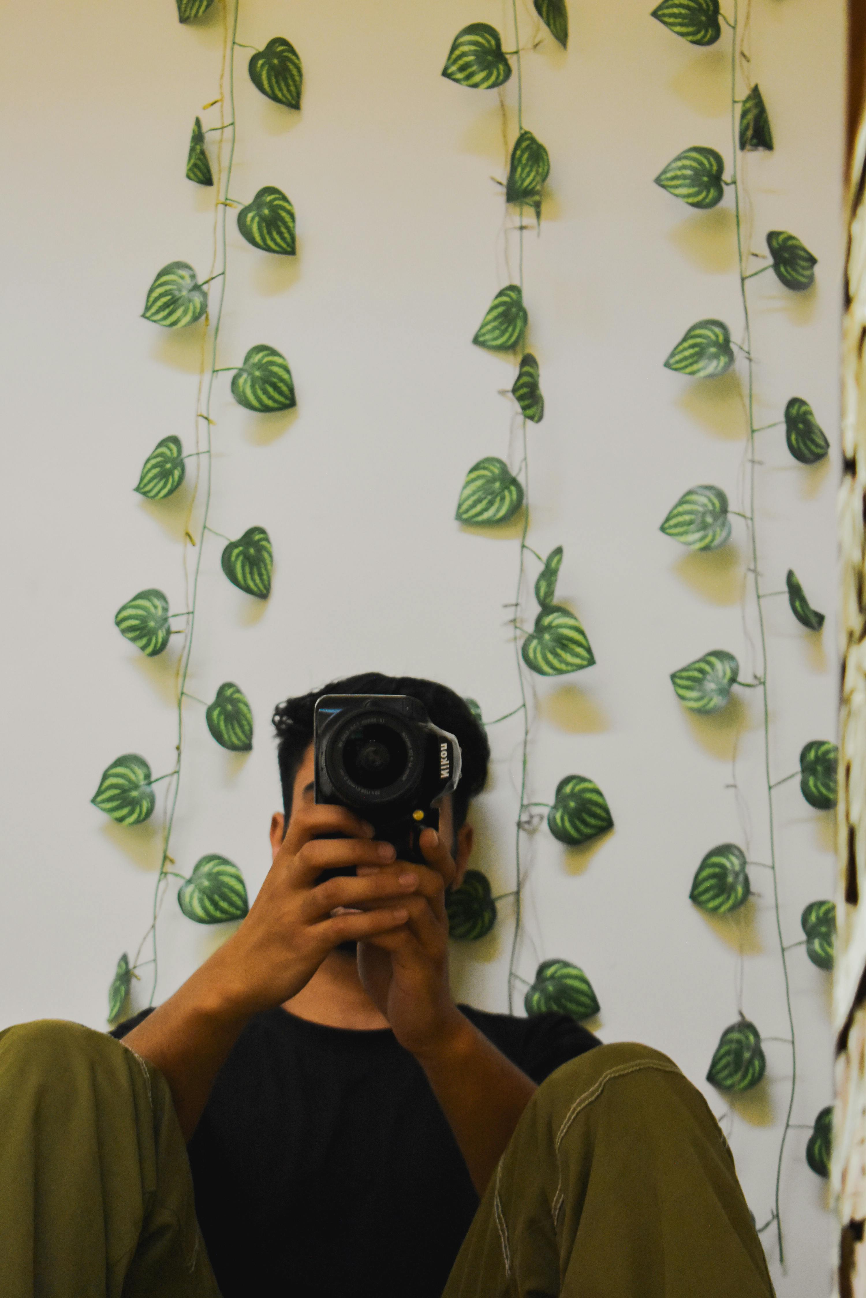 Free A person capturing a photo with a camera surrounded by hanging leaves indoors. Stock Photo