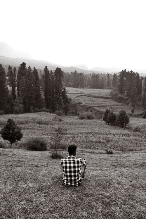 Free A man sitting on grassy terrain overlooking a tranquil, coniferous valley. Stock Photo