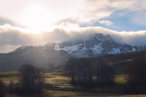 Aerial View of a Meadow and Trees in a Mountain Valley 