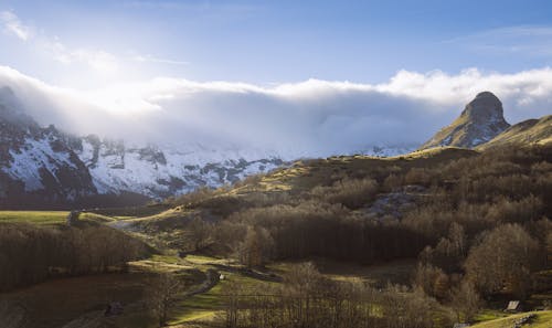 Landscape of a Meadow and Forest in the Valley with Snowcapped Mountains in the Background 