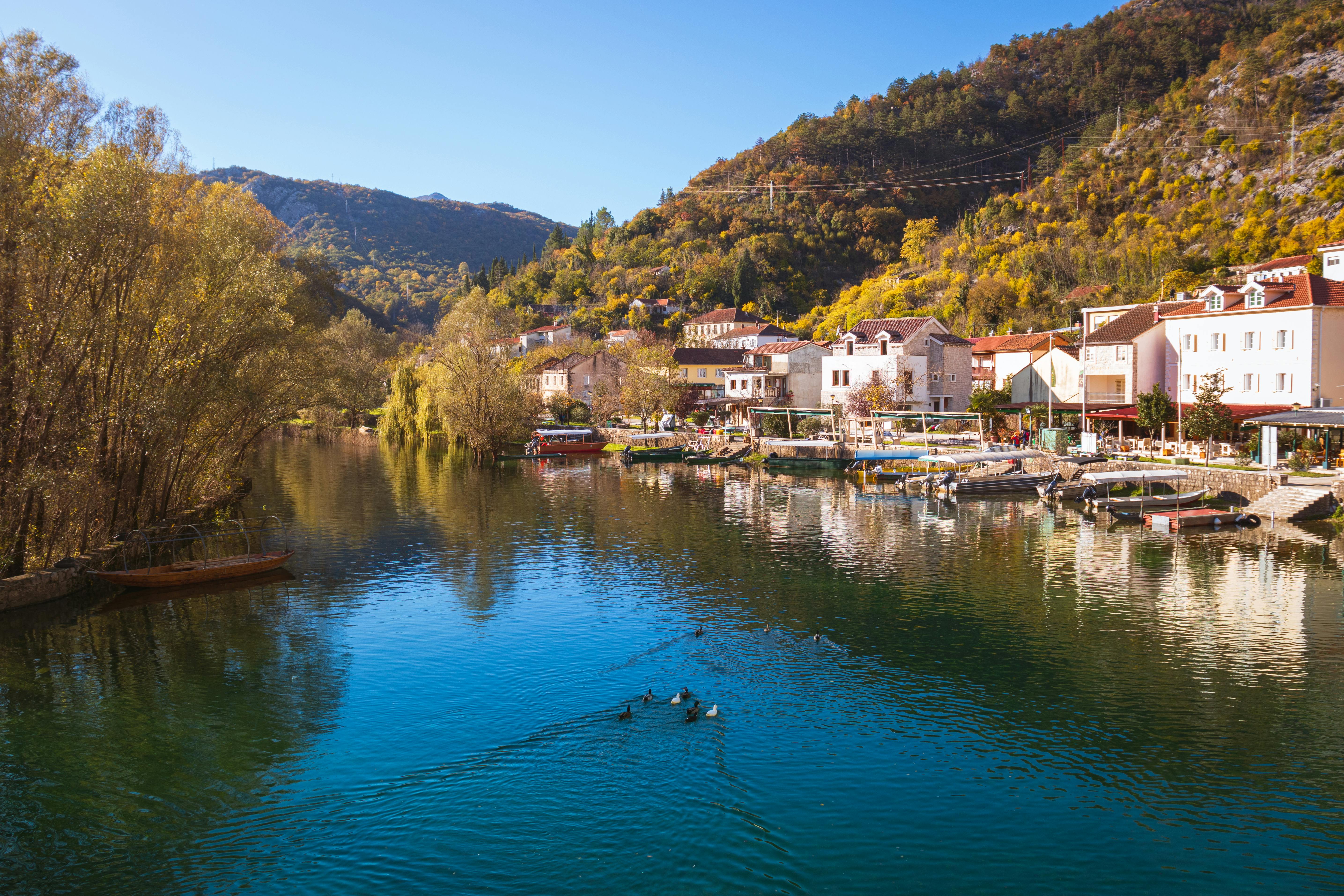 Cetinje