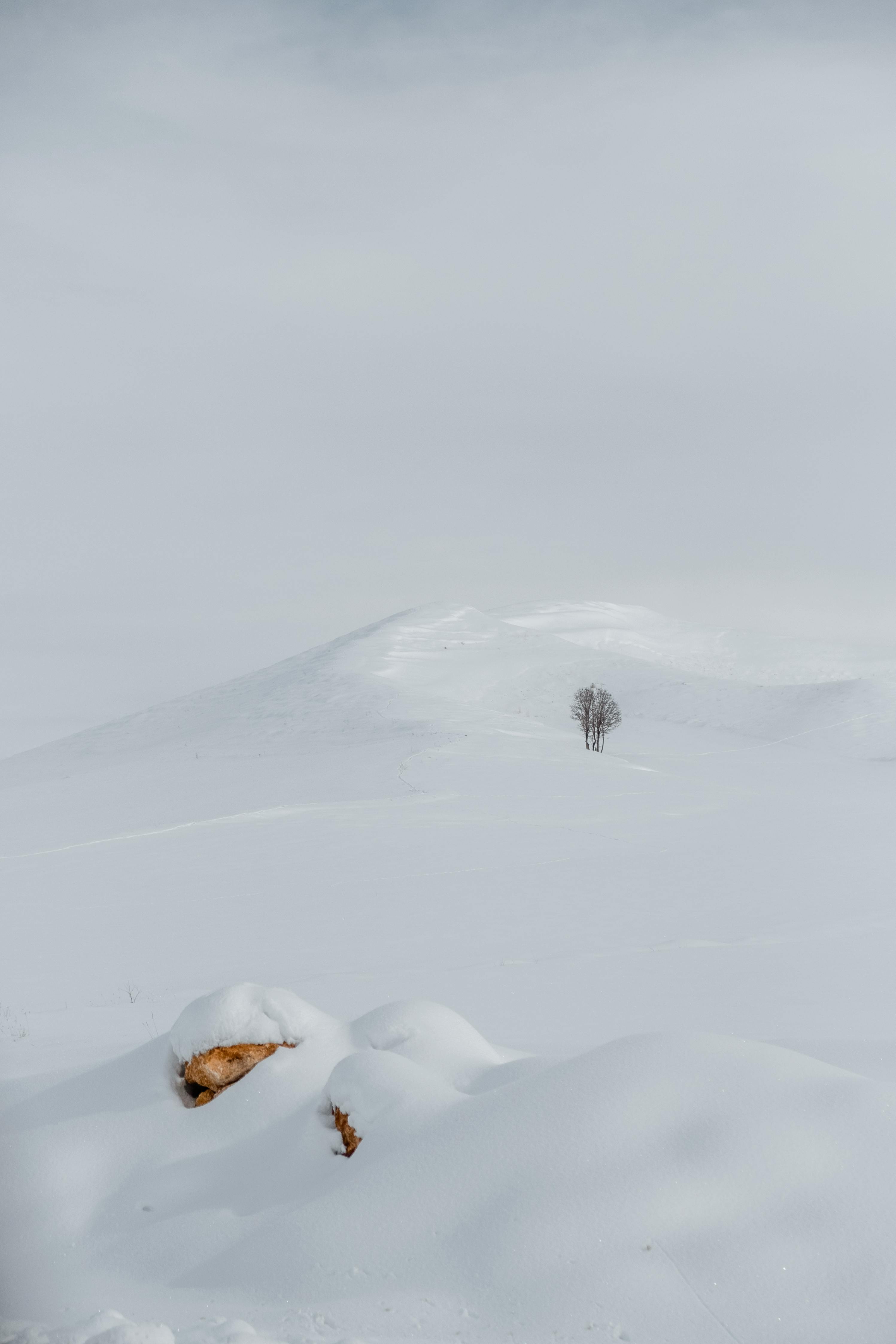 A serene winter scene in Aksaray, Türkiye with a solitary tree atop a snow-covered hill.