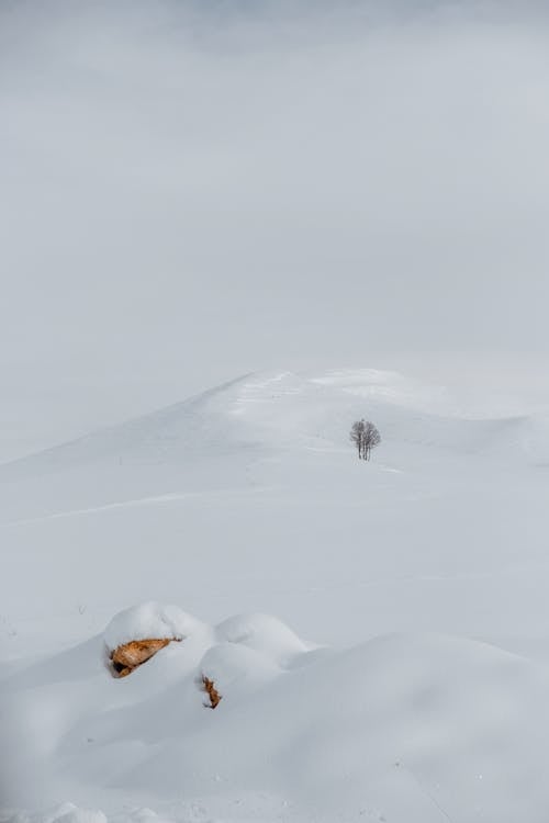 Yalnızlık