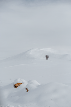A serene winter scene in Aksaray, Türkiye with a solitary tree atop a snow-covered hill.