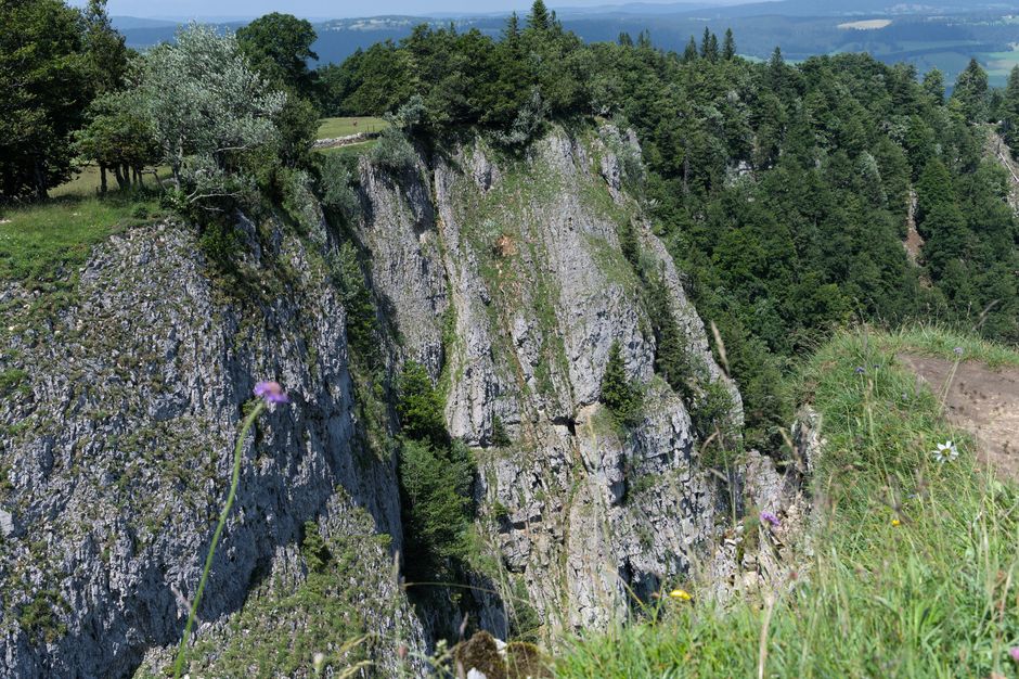 Breathtaking view of Creux du Van cliffs in Switzerland with lush greenery and rocky formations.