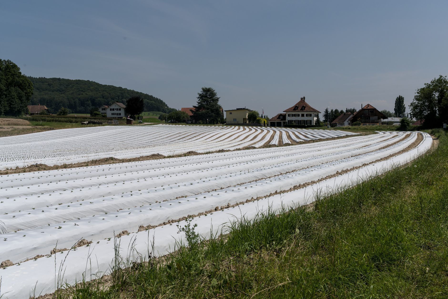 Innovation in der Schweizer Wirtschaft