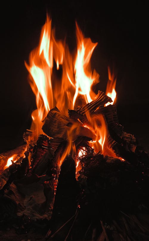 Bonfire at Night