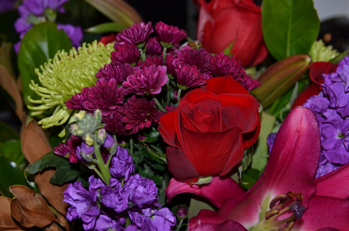 Photo Gratuite De Beau Bouquet Fleurs Rose Rouge Photo Gratuite De Beau Bouquet Fleurs Rose Rouge