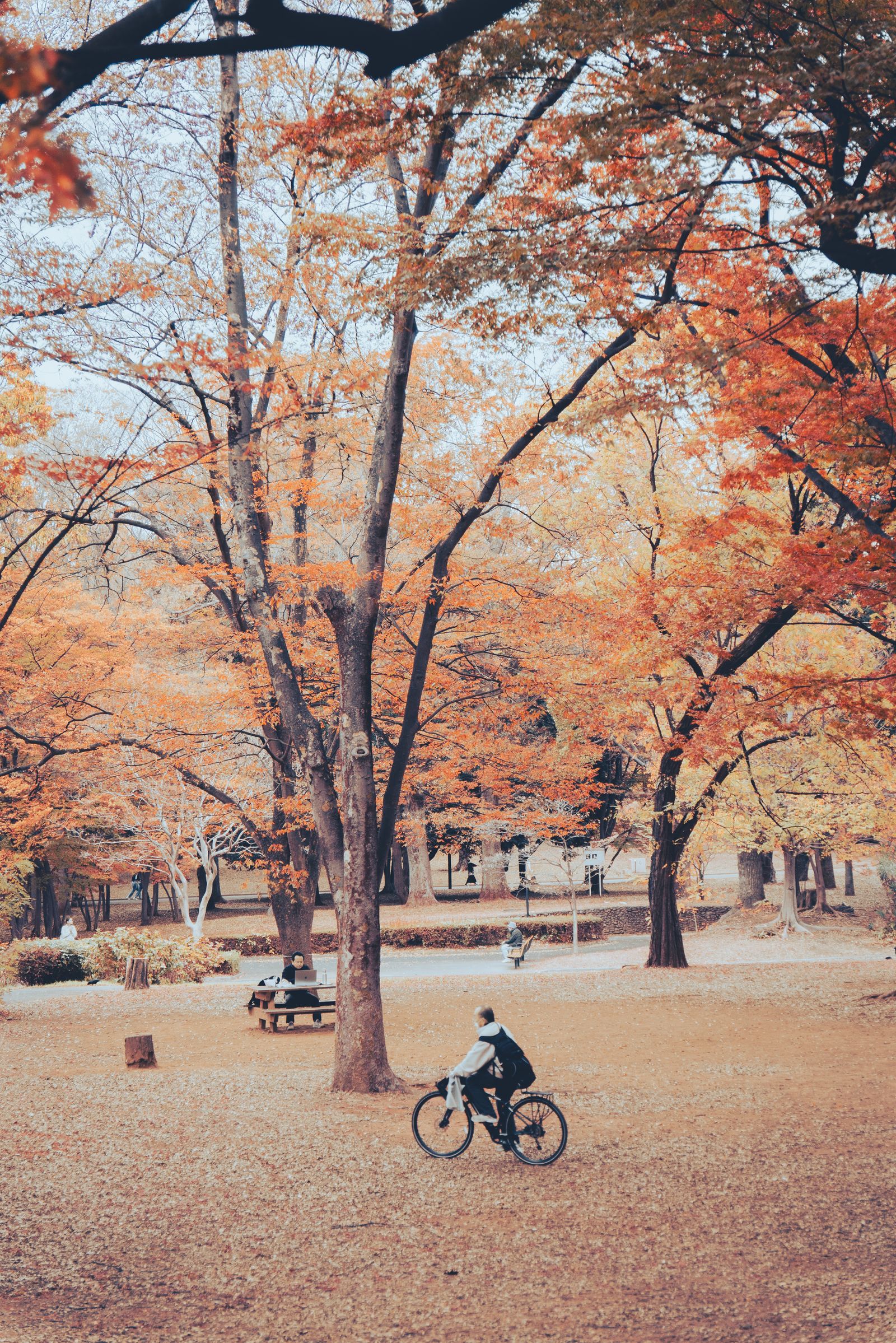 Yoyogi Park