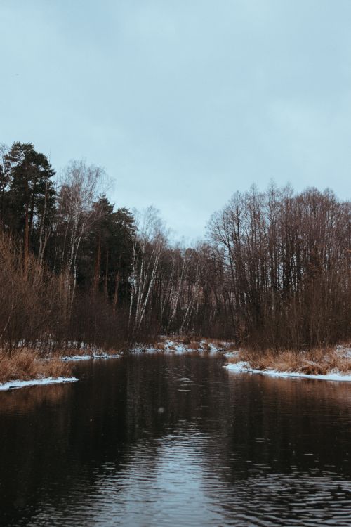 Free Calm river surrounded by autumnal trees under overcast skies, capturing nature's tranquility. Stock Photo