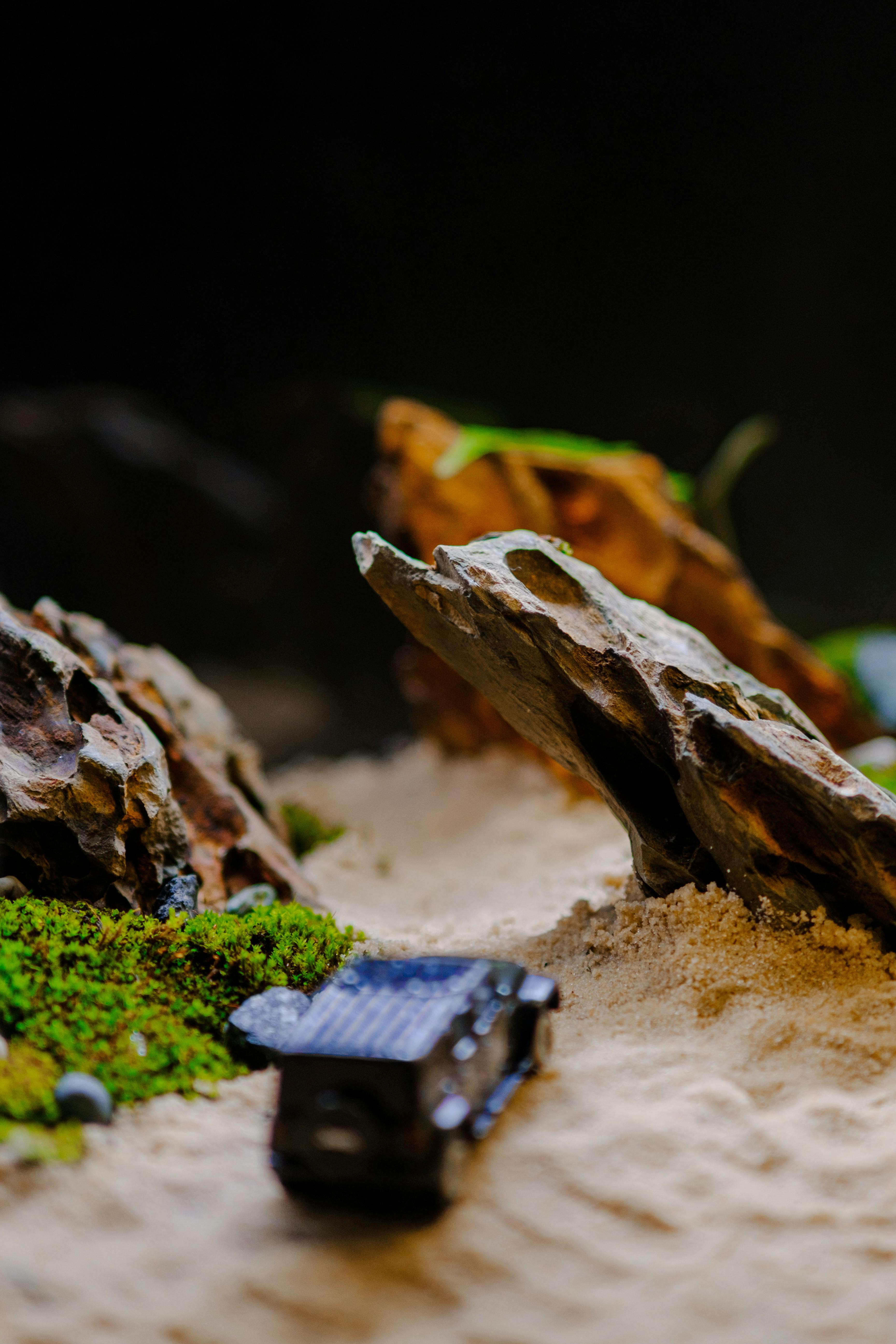 Jethro C. Photography