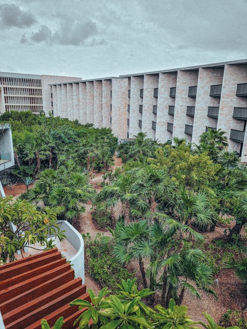 Kostnadsfri bild av hotell, mangrove, trädgård