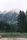 wilderness