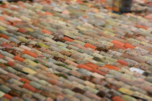Close-up of red roof tiles