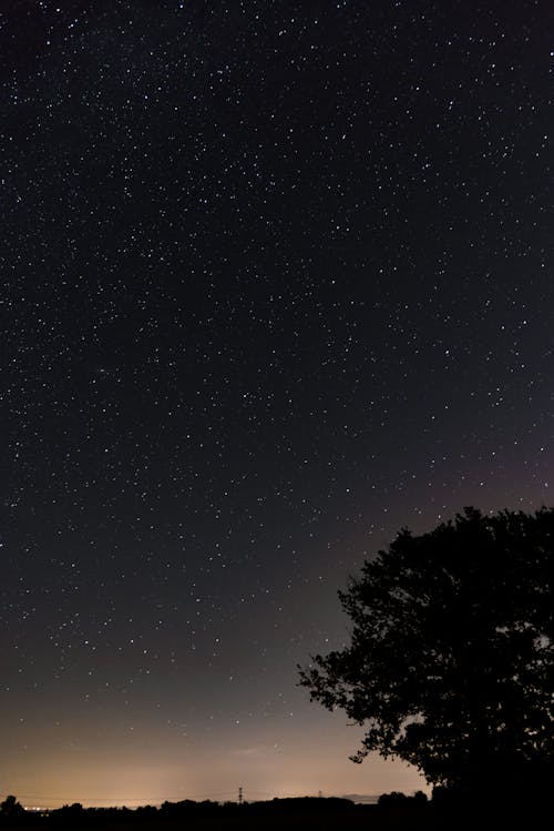 Free stock photo of backlit, ciel, light pollution