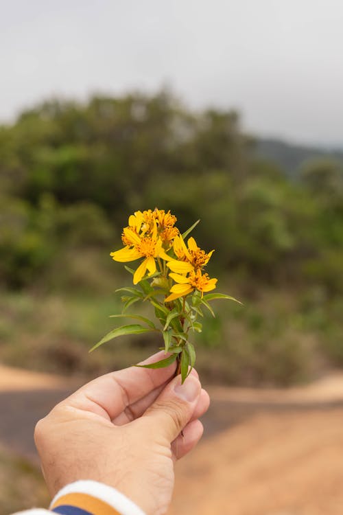 Hand Holding Yellow Flowers