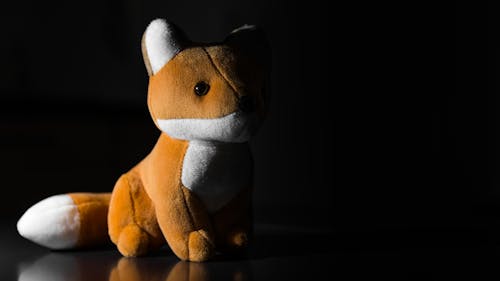 Free stock photo of fox, fox plush toy, packshot