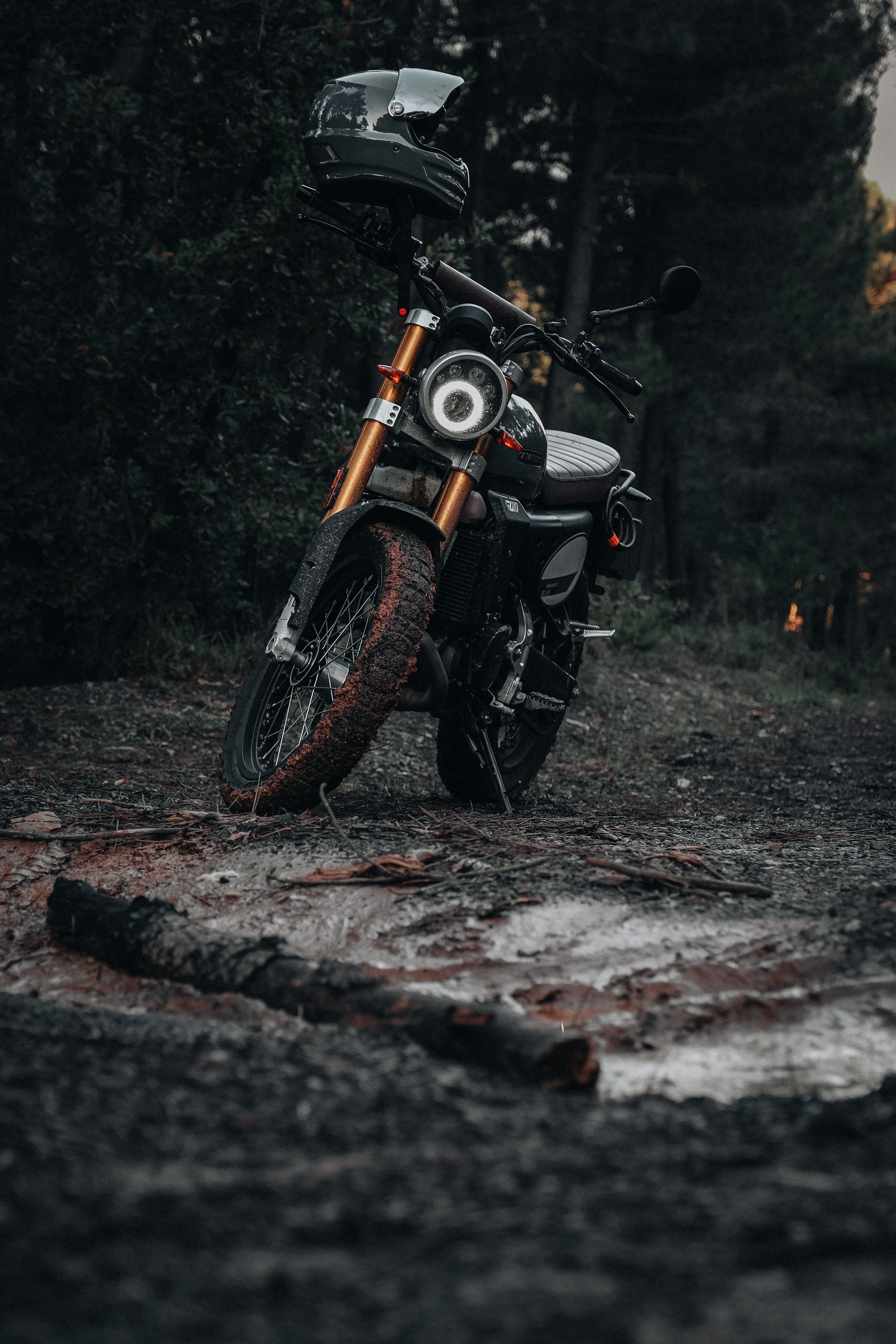 A rugged adventure motorcycle stands in a serene forest landscape, perfect for outdoor enthusiasts.