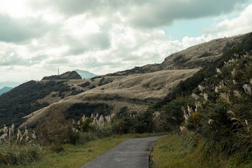 丘陵, 人行道, 山 的 免费素材图片