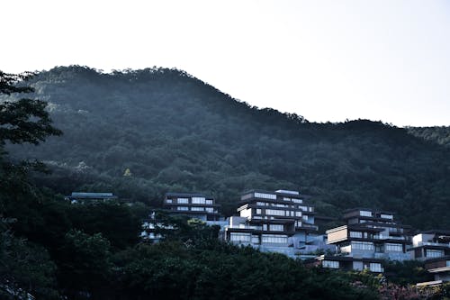 녹색 언덕, 저택의 무료 스톡 사진