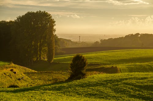 The Simple Outdoor Habit That Heals Your Mind
