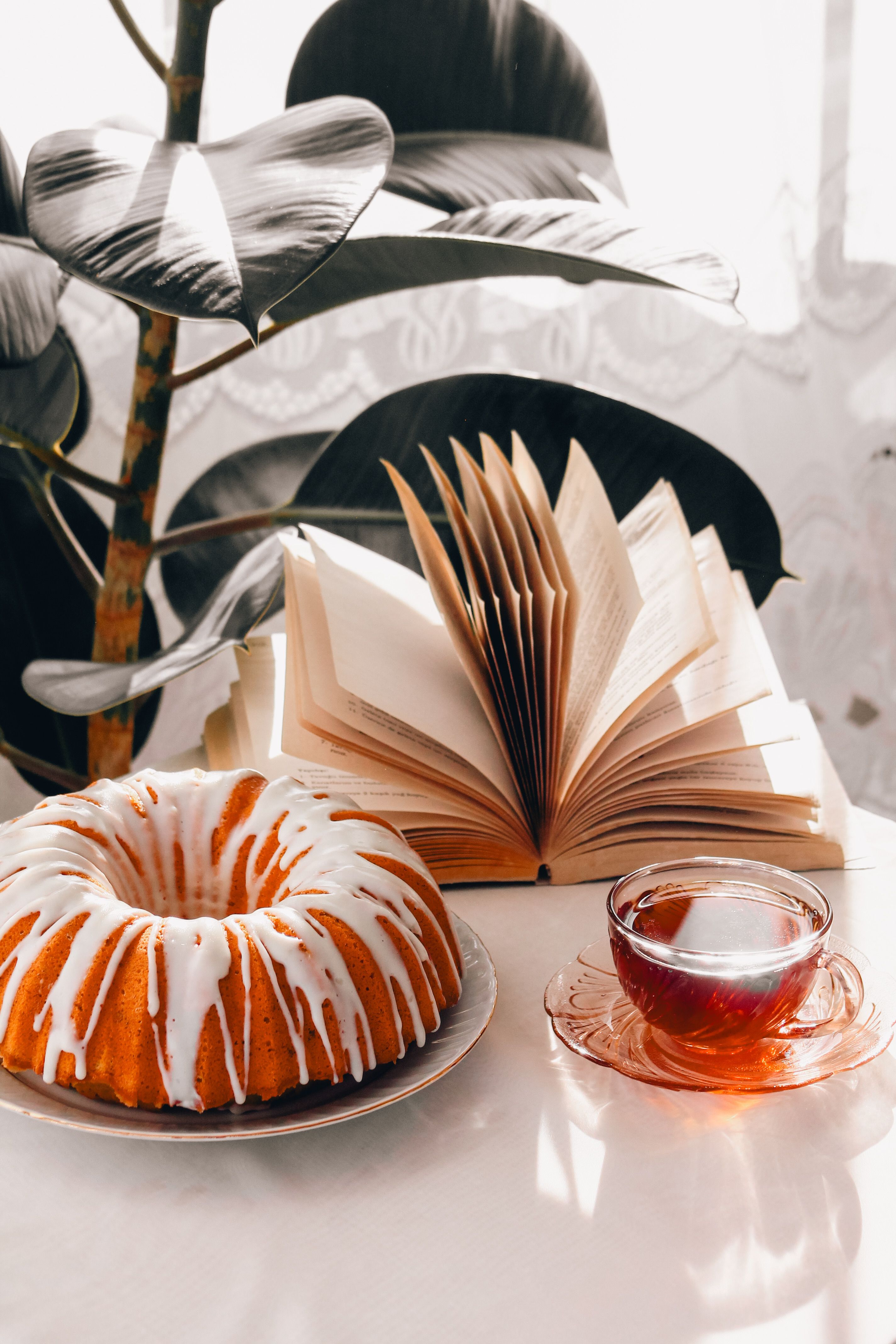 Yeh Sunday afternoon ki vibes toh perfect hain 🍰☕️🌿 - cake, chai aur ek acchi kitaab, aur bas, ficus plant ke saath, life set hai! #afternoonfood #tolee #SundayVibes